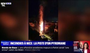 Nice: la piste d'un pyromane envisagée dans le quartier de Cimiez après des incendies à répétition