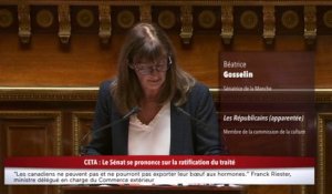 Intervention de Béatrice Gosselin (LR) sur la ratification du CETA