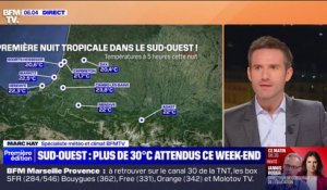 La France va connaître son premier pic de chaleur ce week-end avec 30 degrés attendus dans le Sud-Ouest