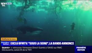 "Sous la Seine" bientôt sur Netflix: comment un requin va semer la terreur dans les eaux de Paris