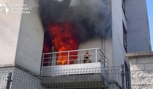 Les pompiers sortent un chien de l'incendie d'un appartement avenue du Sippelberg à Molenbeek