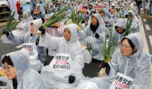 En Corée du Sud, le symbole de l'opposition au gouvernement est... un oignon vert