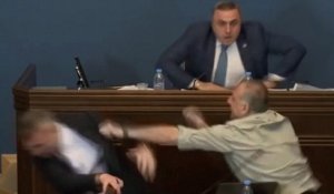 Georgie : bagarre au Parlement pour une loi jugée « pro-russe » par l'opposition