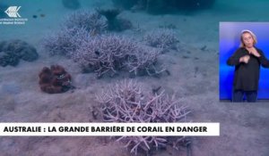 Australie : la grande barrière de corail en danger