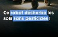 Carbon Robotics : ce robot élimine plus de 200 000 mauvaises herbes par heure et sans pesticides !