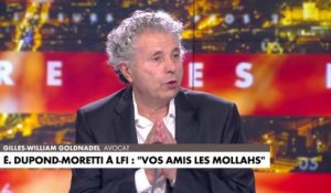 Gilles-William Goldnadel : «Rima Hassan ment effrontément»