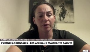 Pyrénées-Orientales : des animaux maltraités sauvés
