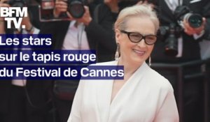 Meryl Streep, Omar Sy...Les stars sur le tapis rouge du Festival de Cannes