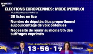 Européennes: les Français appelés aux urnes pour désigner leurs 81 représentants au Parlement européen