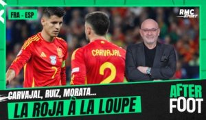 France-Espagne : Carvajal, Ruiz, Morata... la Roja à la loupe avant la demie