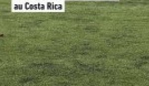 Victor Wembanyama a joué au football avec des jeunes au Costa Rica - Basket - NBA