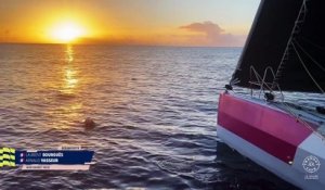 Beyou, aux commandes d'un Charal reboosté, à la lutte avec Macif en tête - Voile - Transat Café L'Or