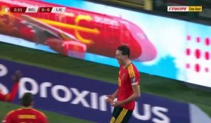 Le résumé de Belgique - Liechtenstein - Foot - Qualif. Coupe du monde