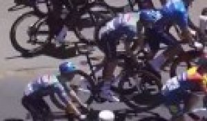 Un kangourou apeuré a perturbé la cinquième et dernière étape du Tour Down Under - Cyclisme - Tour Down Under