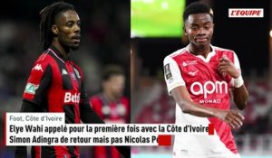 Elye Wahi appelé pour la première fois avec la Côte d'Ivoire, Simon Adingra de retour mais pas Nicolas Pépé - Foot - Côte d'Ivoire