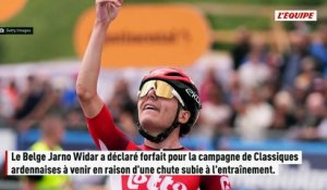 Principal concurrent de Seixas chez les jeunes, Widar déclare forfait pour la Flèche Wallonne et Liège-Bastogne-Liège - Cyclisme