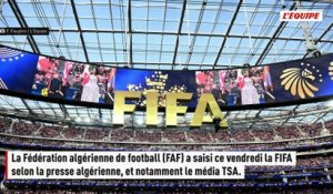La Fédération algérienne saisit la FIFA au sujet de l'arbitrage après sa défaite face à l'Argentine - Foot - Coupe du monde 2026 - Algérie