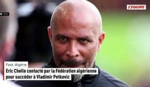Éric Chelle contacté par la Fédération algérienne pour succéder à Vladimir Petkovic - Foot