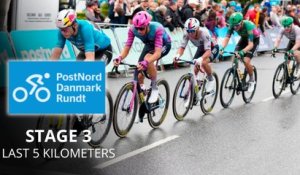 Tour du Danemark 2026 - Étape 3 - Wout van Aert passe à travers les chutes et gagne la 3e étape !