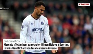 Mercato : Tottenham va recruter Iliman Ndiaye à Everton, le brésilien Richarlison fera le chemin inverse - Foot - Transferts