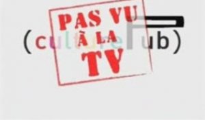 Pas Vu à la TV (2)