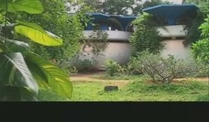 Auroville : retour sur une utopie