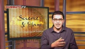 Les sciences du Coran