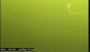 Une vidéo du imonstre du Loch Ness/i suédois