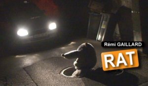 Rat (Rémi Gaillard)