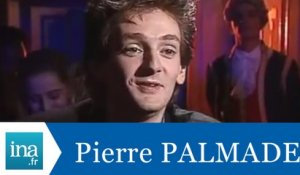 Interview jumeaux : Pierre Palmade face à Madame Palmade - Archive INA