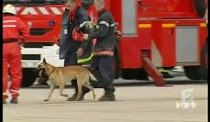 [Roissy, effondrement d'un terminal]