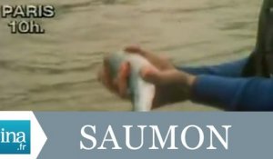 Un saumon pêché dans la Seine à Paris - Archive INA