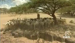 La sécheresse et la famine au Kenya