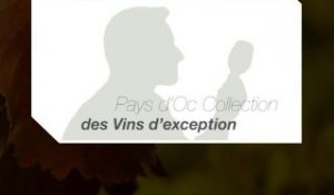 Pays d'Oc Collection - des vins d'exception (2010)