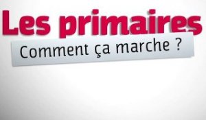 Les primaires , mode d'emploi