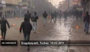 Manifestations pro-Abdullah Ocalan en Turquie - no comment