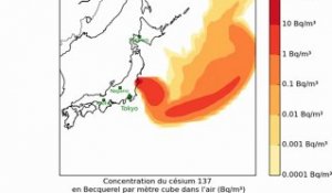 Japon : le "panache" radioactif en images