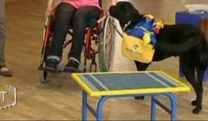 Handicap : les chiens d'assistance (Vendée)