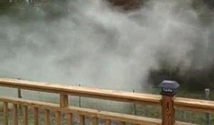 Nuage de pollen sur un arbre - Impressionnant