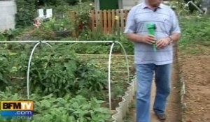 Economiser l'eau dans l'entretien de son jardin
