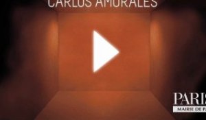 64 - Carlos Amorales - Black Cloud, 2007