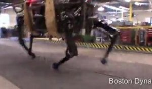 AlphaDog Proto - Boston Dynamics