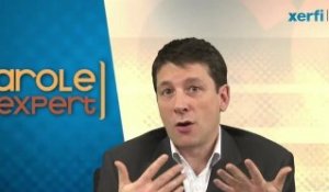 Xerfi Canal Ludovic Melot Audit et comptabilité : la grande percée des réseaux