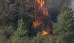 Espagne : 1200 hectares détruits par les flammes