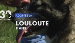 Adoptez  Louloute