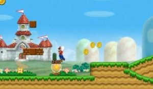 New Super Mario Bros Wii