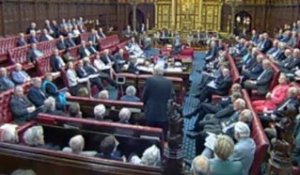 Réforme des Lords : coup dur pour la coalition