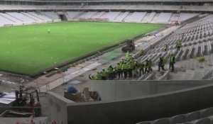 Grand Stade : les supporters s'y voient déjà !