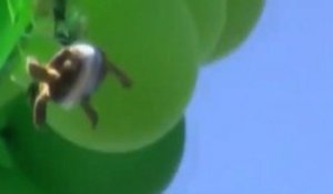 Une tortue s'envole accrochée à des ballons d'hélium