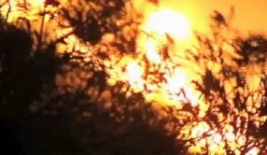 Un violent incendie menace la station balnéaire de Malaga